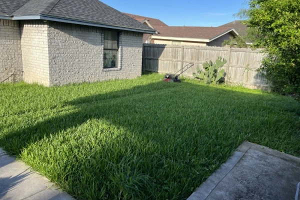 Lawn Mowing