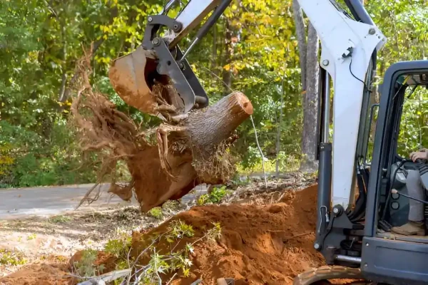 Stump Removal