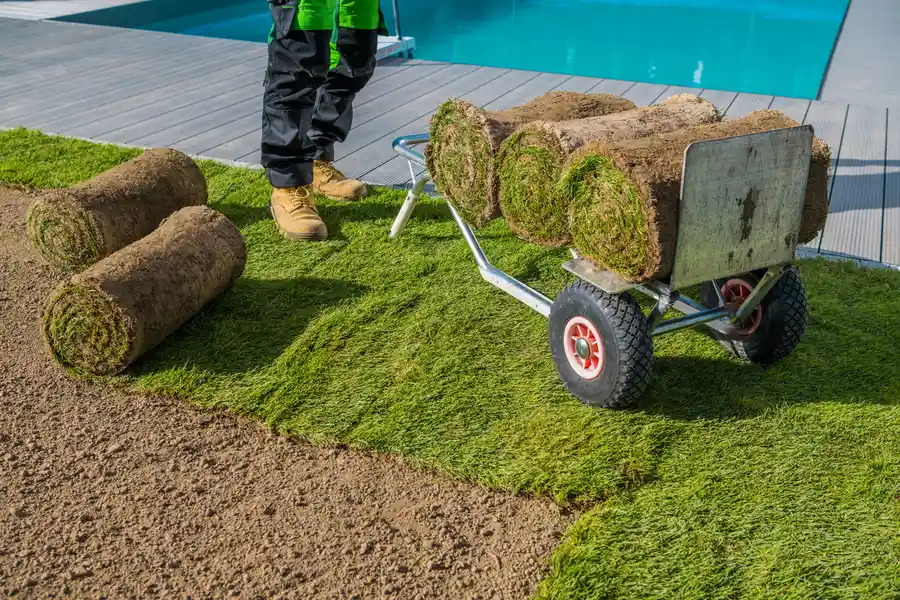 Common Mistakes To Avoid During Sod Installation Brownsville, TX
