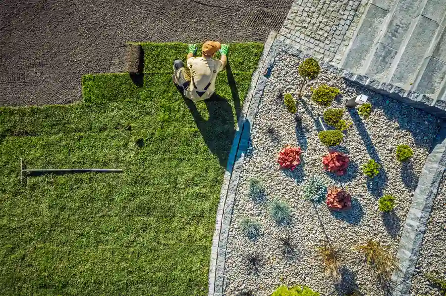 Local Sod Installation Brownsville, TX