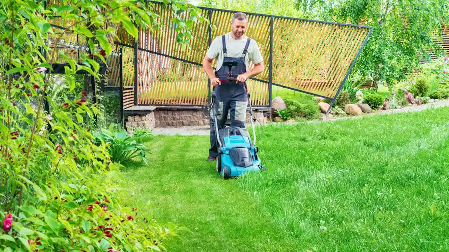 Quality Lawn Mowing Brownsville, TX