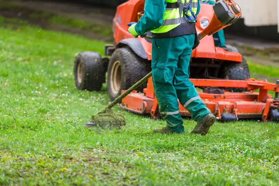 Reliable Lawn Mowing Brownsville, TX