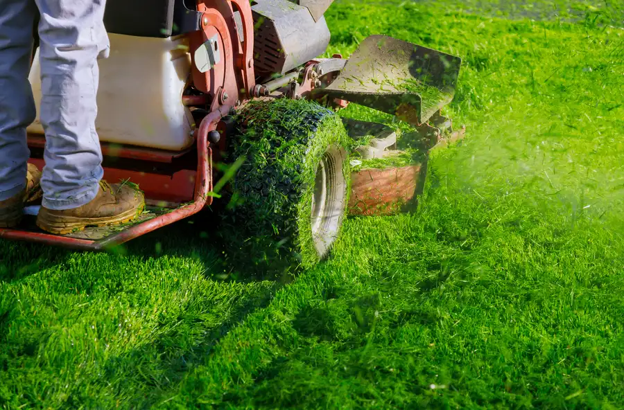 Superior Lawn Mowing Brownsville, TX