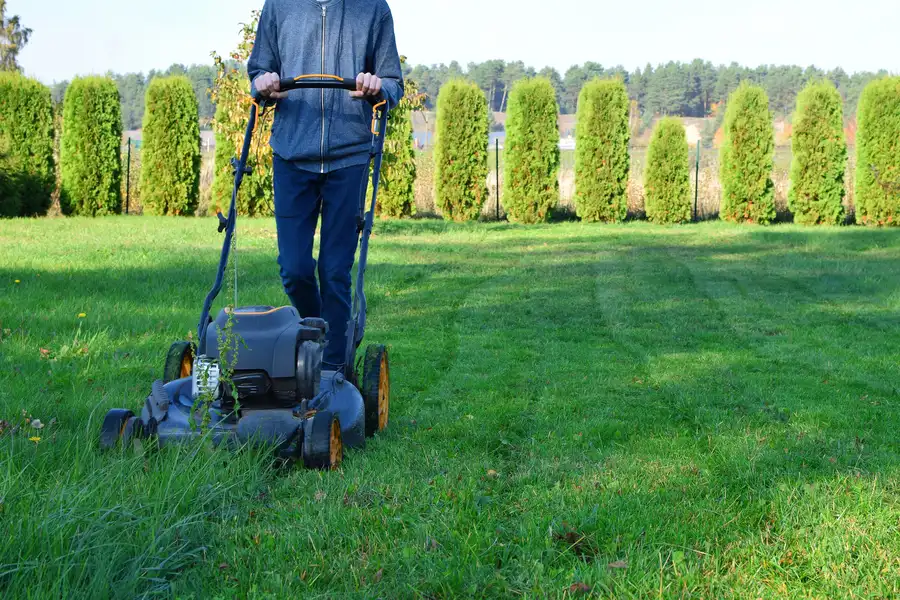Understanding The Ideal Frequency For Lawn Mowing Brownsville, TX