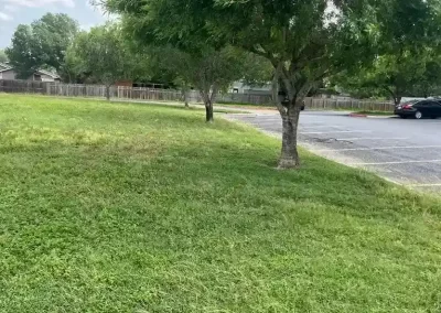 Affordable Landscape Contractor