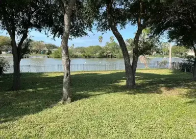 Landscape Services